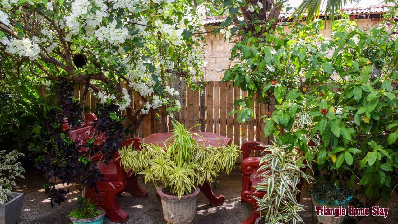 Triangle Home Stay Дамбулла Экстерьер фото